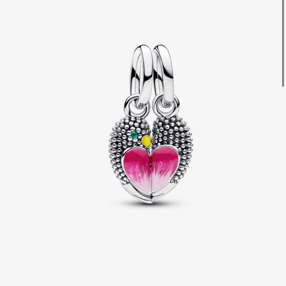 Pandora Love Birds Splittable Dangle Charm